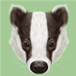 badger