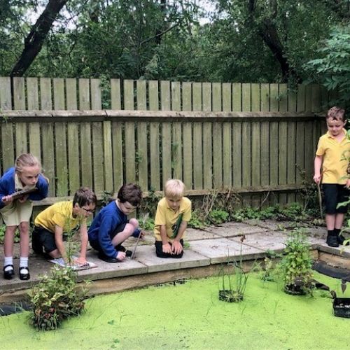 Science study at the school pond